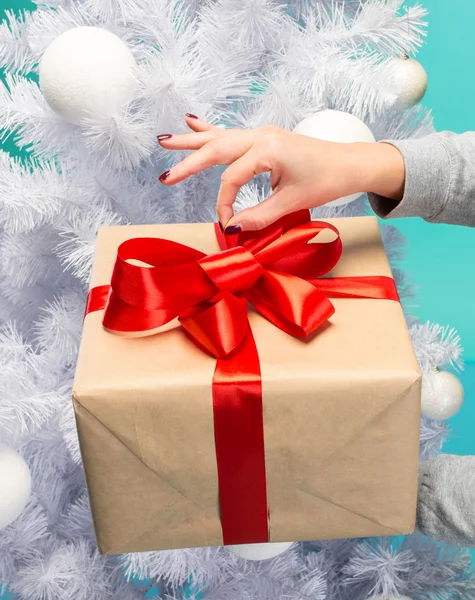 Weihnachtsgeschenkschachtel und Weißtanne — Stockfoto