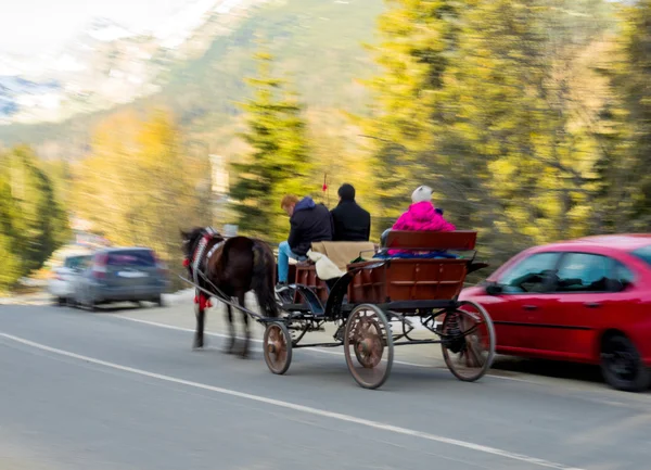 Transporte de cavalos em movimento — Fotografia de Stock