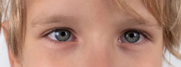 Macro close up young child blonde boys grey eye, blonde eyebrows and brown lashes. Caucasian light skin. Eye health care and medical vision concept. Wide long banner