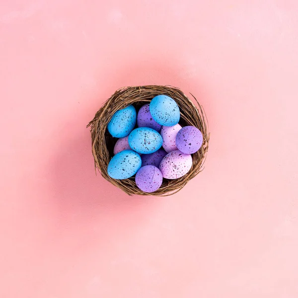 Happy easter. Colorful easter eggs in nest on pastel color background with space for text. — Stock Photo, Image