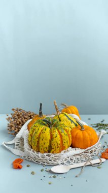 Sıfır atık yiyecek, balkabağı, tohumlar, sebzeler, kurumuş meyveler mavi arka planda. Tekstil torbalarında alışveriş, cam kavanozlar. Eko dostu plastik düşük atık yaşam tarzı.