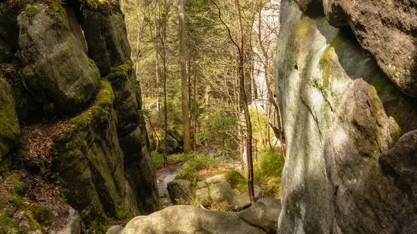 Sentier White Rocks Stoowe Mountains Pologne — Photo