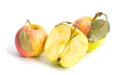 Yapraklı iki elma ve beyaz arka planda yeşil yapraklı yarım elma.