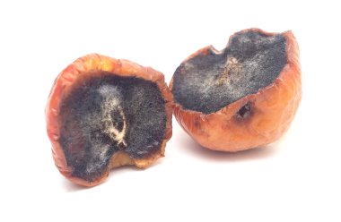 Beyaz arka planda izole edilmiş iki büyük çürümüş elma parçası, yakın plan..