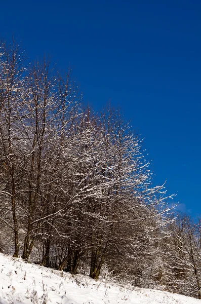 Vinter landskap i Val Thorens, Frankrike — Stockfoto