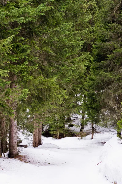 Vinter landskap, Haute savoie, Frankrike — Stockfoto