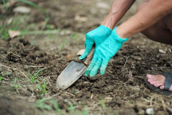 Enfoque Selectivo Mano Derecha Del Jardinero Utiliza Cuchara Siembra Para — Foto de Stock