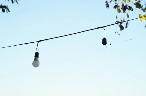 Selecitve focus light bulbs hanging on the electricity wire with blurred leaves and clear sky in background