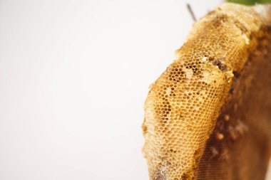 Beyaz arkaplanda izole edilmiş arı kovanının yakın dokusu
