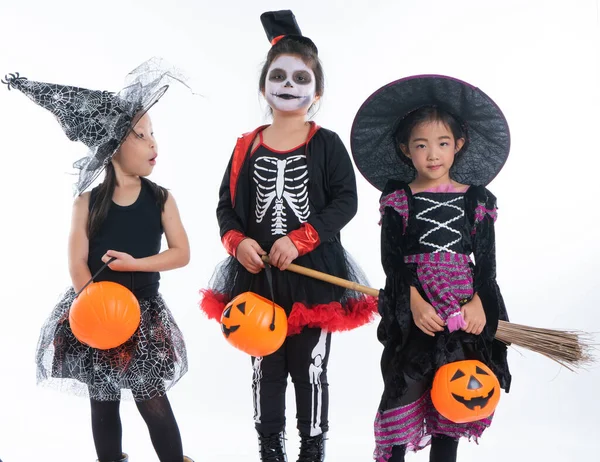 Portrétní Skupina Malých Dívek Halloween Karneval Kostým Izolované Bílém Pozadí — Stock fotografie