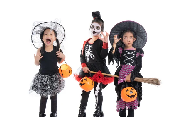 Porträtt Grupp Små Flickor Halloween Och Karneval Kostym Isolerad Vit — Stockfoto