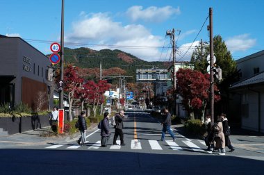 Nikko, Japonya: 22 Kasım 2025 - Güneşli bir günde kavşakta zebra sınırını geçen bir grup insan