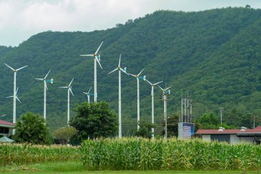 Manzara arka planda dağ ile elektrik üretmek için yel değirmenleri çiftliği. Alternatif ve yeşil enerji kavramı. Tatlı mısır tarlasında yel değirmenleri çiftlik.