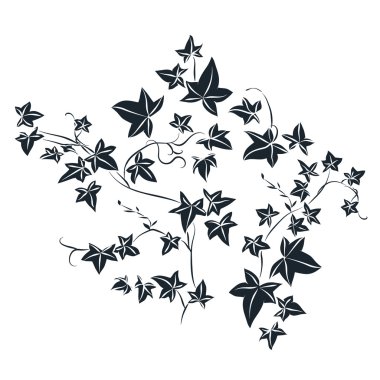 Siyah doodle sarmaşık yaprakları