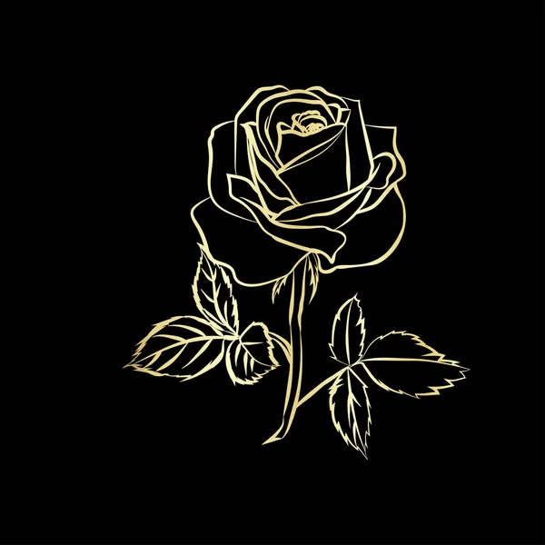 Golden Rose szkicu — Wektor stockowy