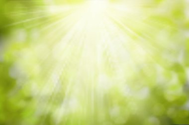 Vektör güneşli yeşil doğa arka plan, seçici odak