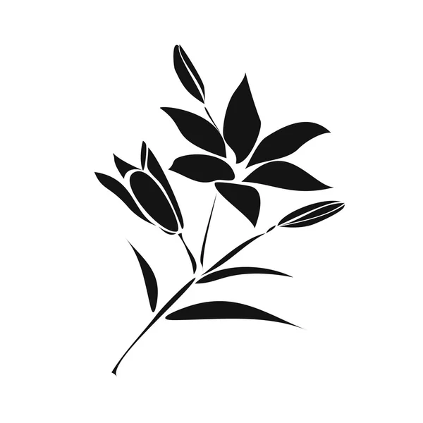 Černá silueta Lily. — Stockový vektor
