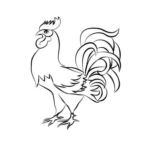Black sketch drawing of an cock — Stock Vector