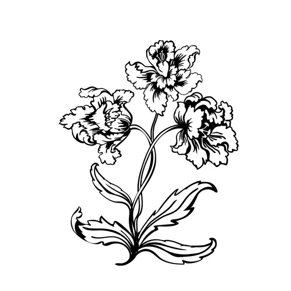 チューリップの花束 — ストックベクタ
