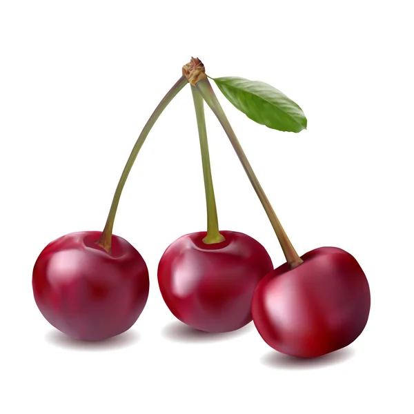 Cherry berry med blad. — Stock vektor