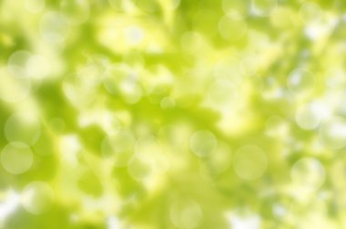 Güneş ışınları ve işaret fişekleri ile yaprak arka plan