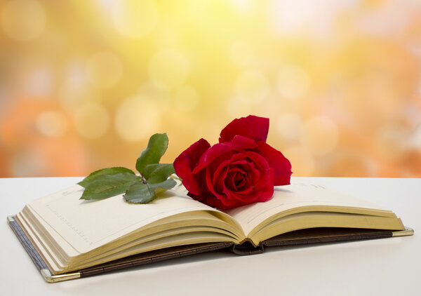 Еженедельник синтетической кожи и красной розы
