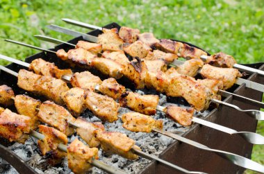 kızarmış tavuk şiş