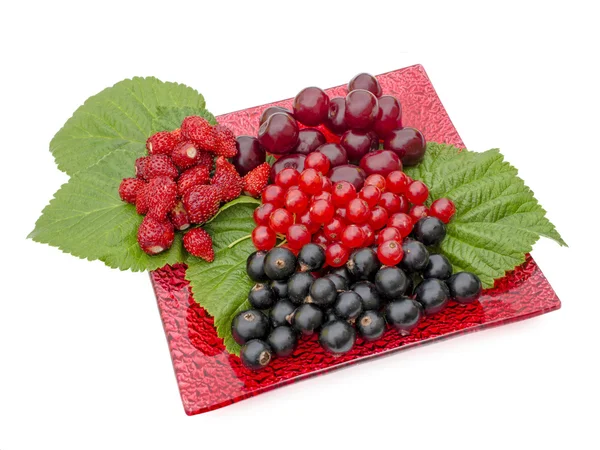 Farklı meyveleri kırmızı plaka üzerinde yalan — Stok fotoğraf