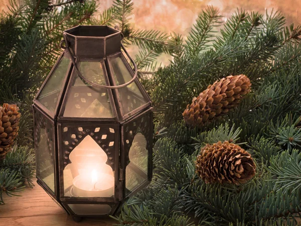 Linterna de Navidad y ramas de abeto con conos — Foto de Stock