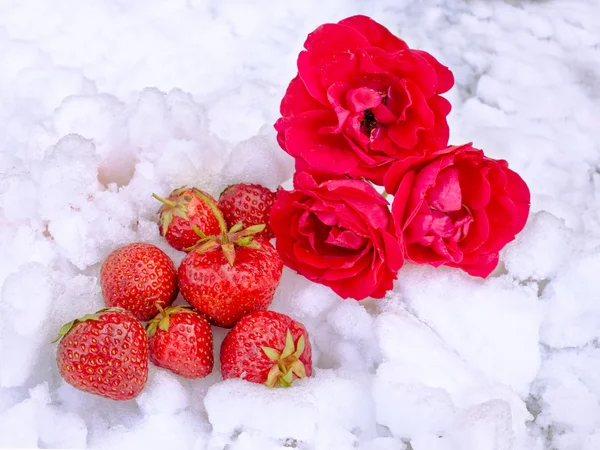 Morangos e rosas deitados na neve — Fotografia de Stock