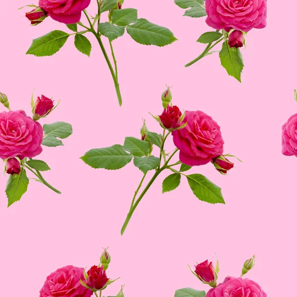 Rosa roja floral patrón sin costura —  Fotos de Stock
