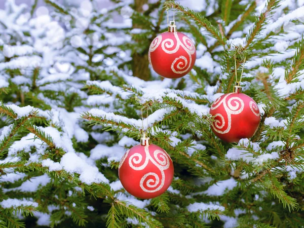 Boule rouge de Noël suspendue à une branche de sapin enneigée — Photo