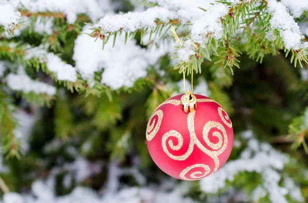 Boule rouge de Noël suspendue à une branche de sapin enneigée — Photo