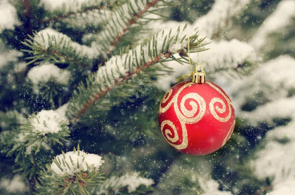 Vánoční červená koule visící na větvi pokryté sněhem jedle — Stock fotografie