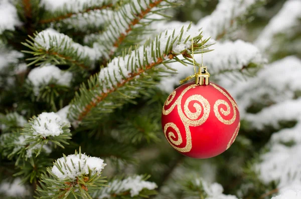 Weihnachtskugel hängt an schneebedecktem Tannenzweig — Stockfoto