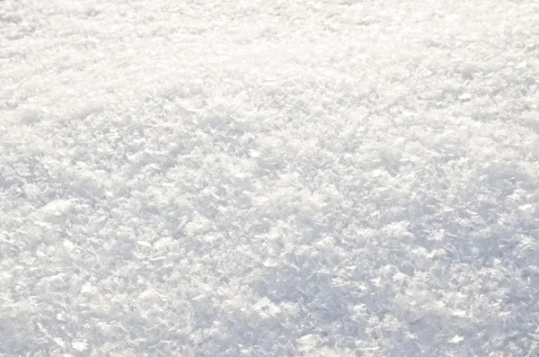 Fluffy snow closeup — Stock Photo, Image