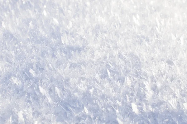 Pluizig sneeuw close-up — Stockfoto