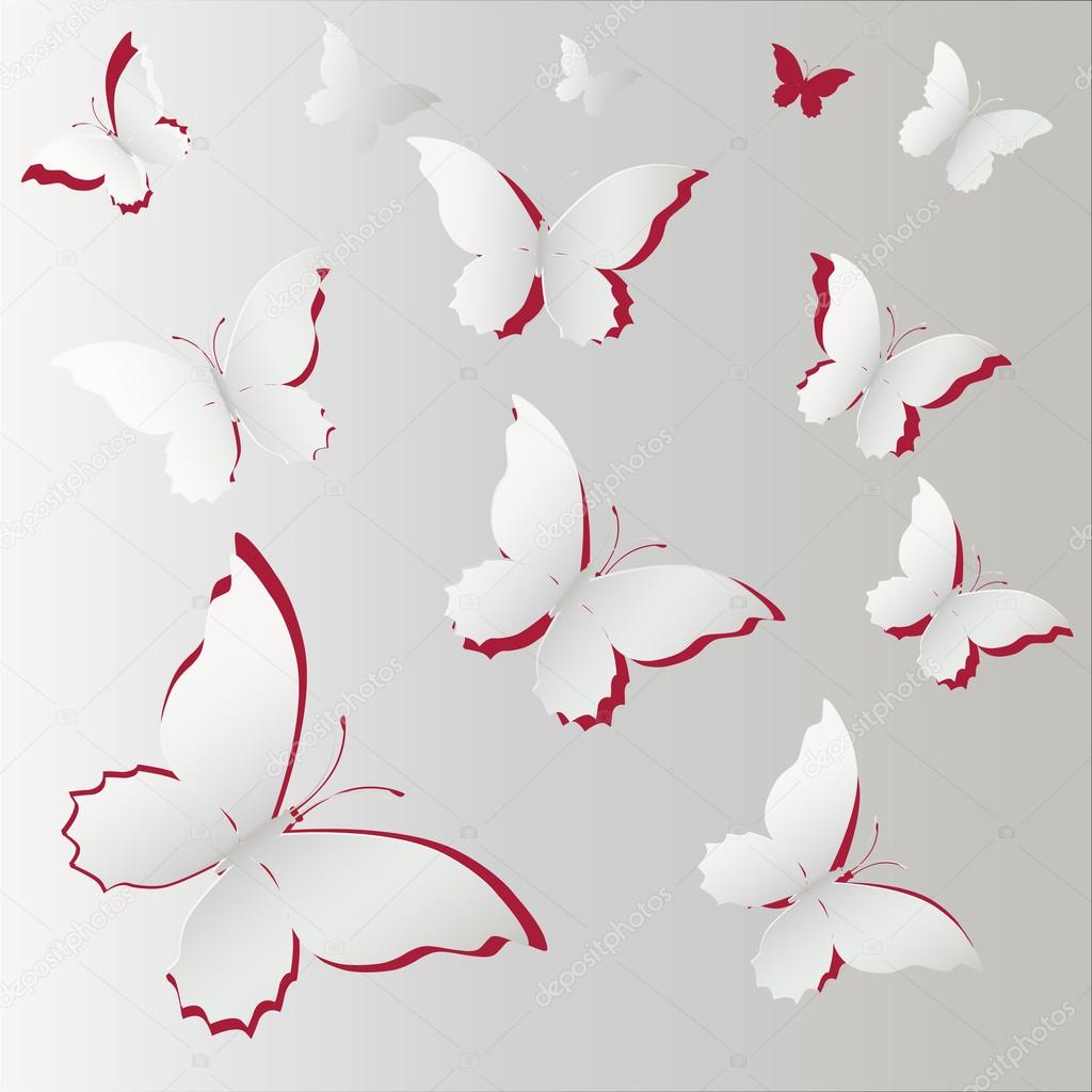 white Lace butterfly on gray background