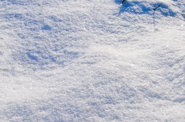 Puszysty śnieg zbliżenie — Zdjęcie stockowe