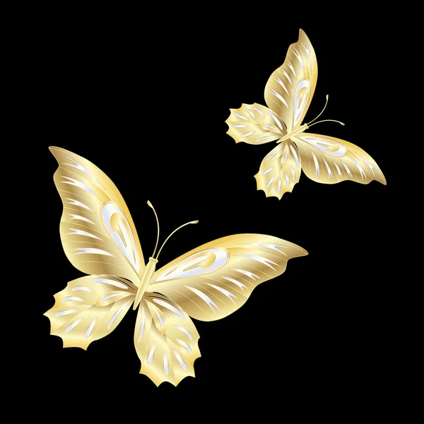 Gouden Lace vlinder op zwarte achtergrond — Stockvector