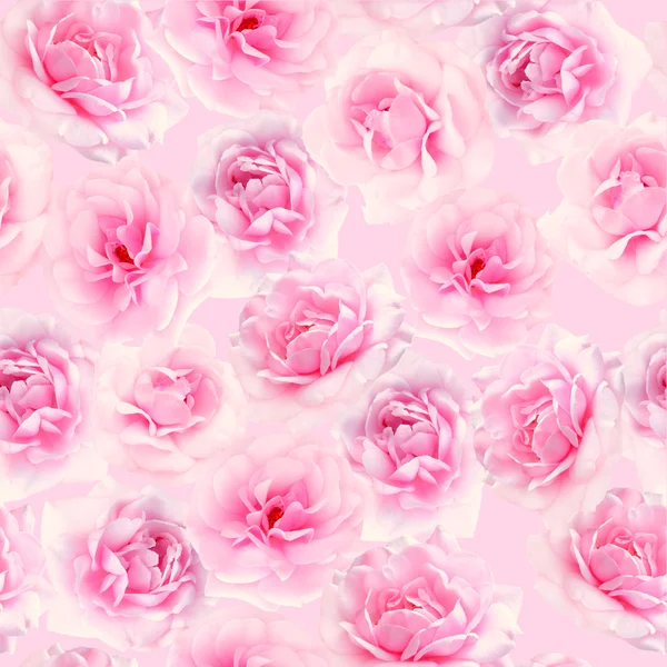 Rose Roses modèle sans couture — Photo