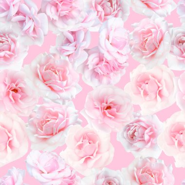 pembe Gül seamless modeli