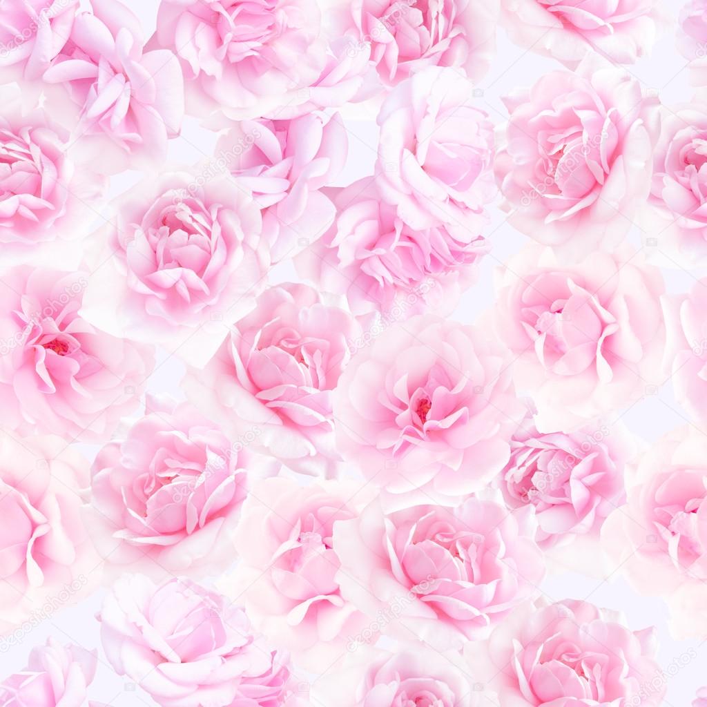 Pink roses seamless pattern