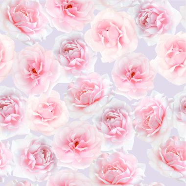 pembe Gül seamless modeli