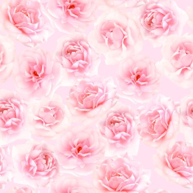 pembe Gül seamless modeli