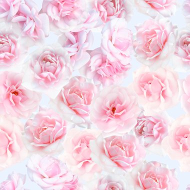 pembe Gül seamless modeli