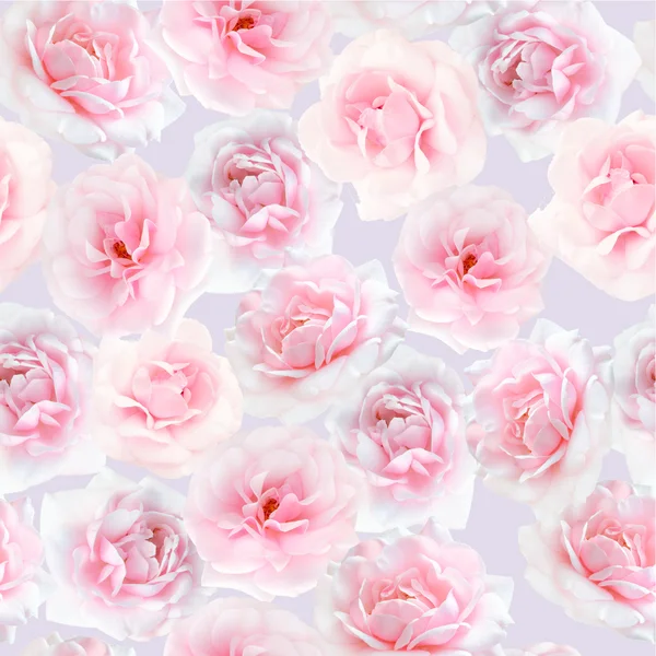 Roze rozen naadloze patroon — Stockfoto