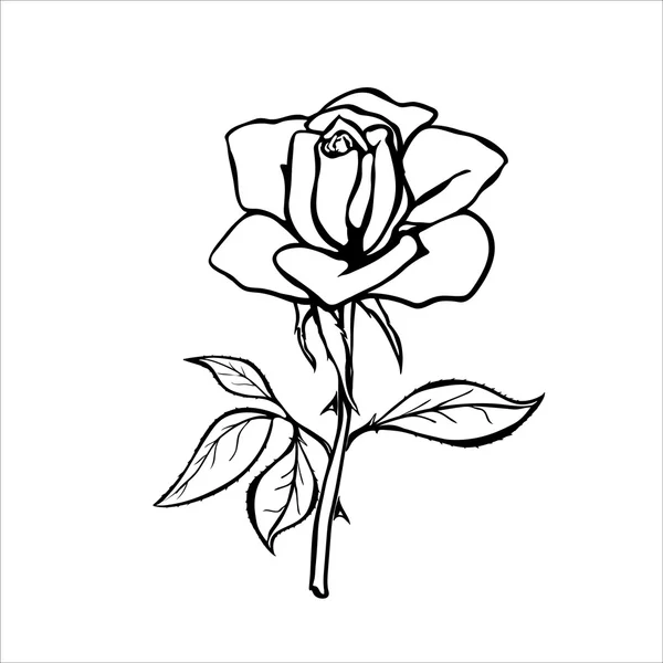 Silhouette Rózsa — Stock Vector