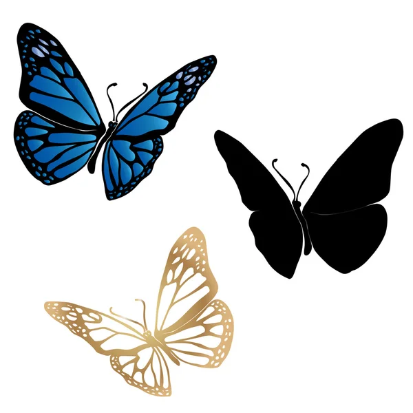 Conjunto mariposa — Vector de stock