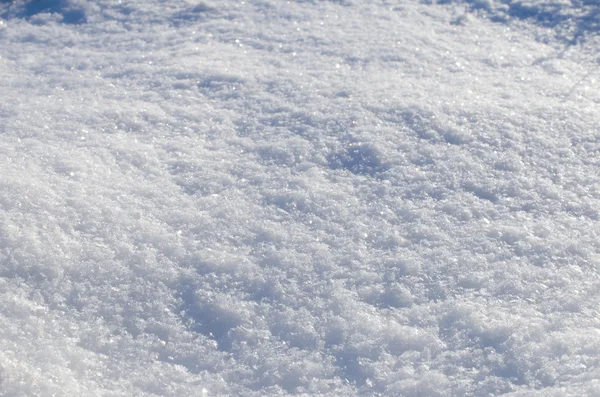 Пухнастий сніжок крупним планом — стокове фото
